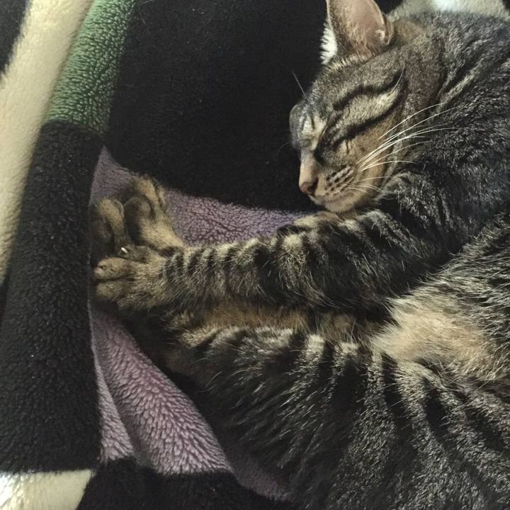 37e512b1 3dd4 4328 ba5b bfc3aea8f4be