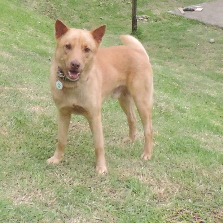 37e5525f 0bcd 44dc 80fd 71415d248b86