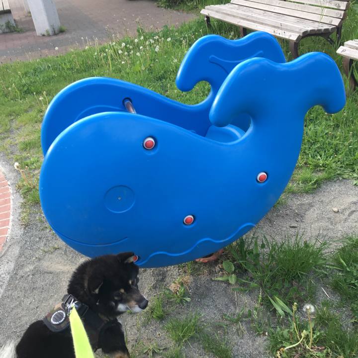 37e581ec 0de4 4727 b283 0fbdfb218815