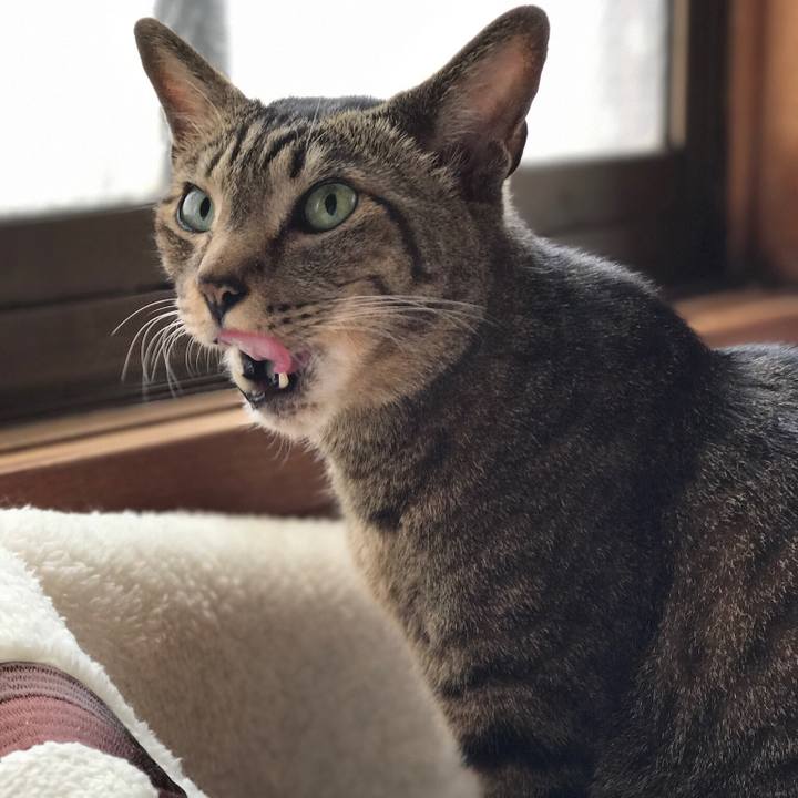 37e594c2 aefb 4e4b 9139 be60f698b5a3