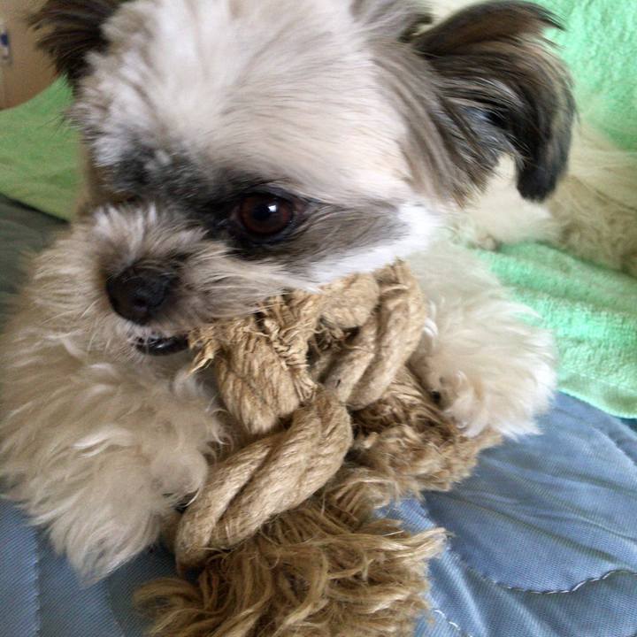 37e662bf 9255 4ce8 bfb0 3e8ba9bd8a96