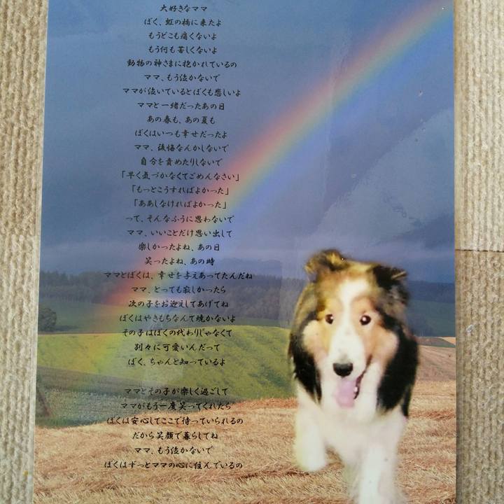 37e850a9 b583 4e7e af9a 6f13d8456b51