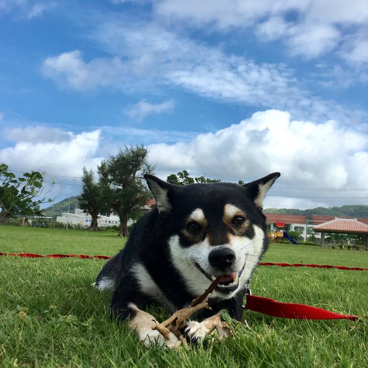 37e935d6 cc65 4258 a44c bd9938d5babf