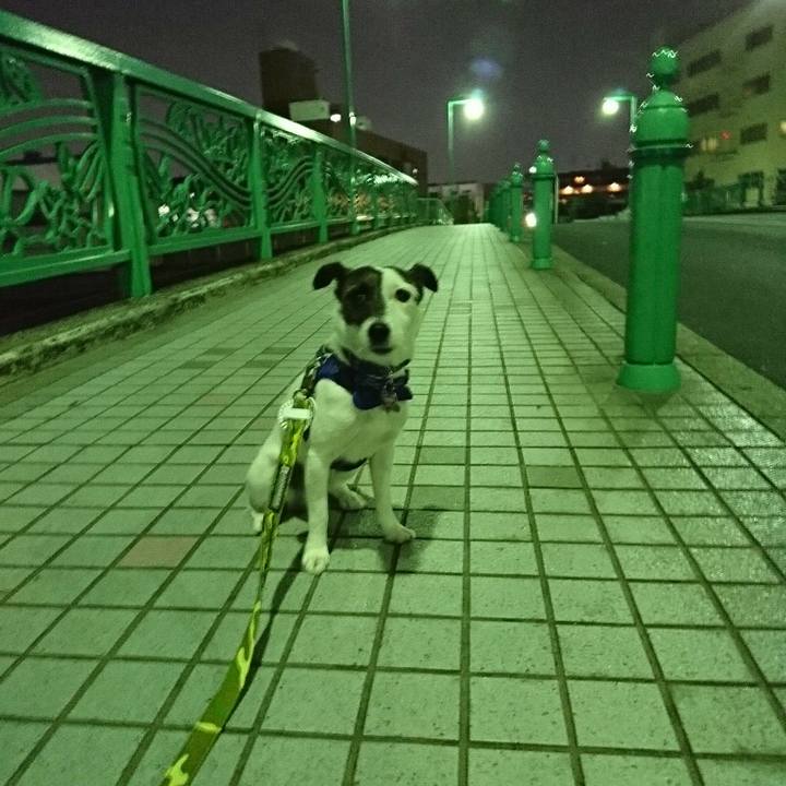 37e98986 179e 43bb b43d 9d1074907994