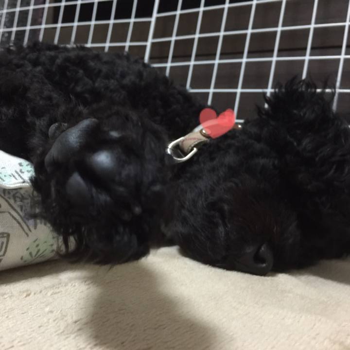 37e9a9bd 84bc 4eeb 95e1 415800acaa6e