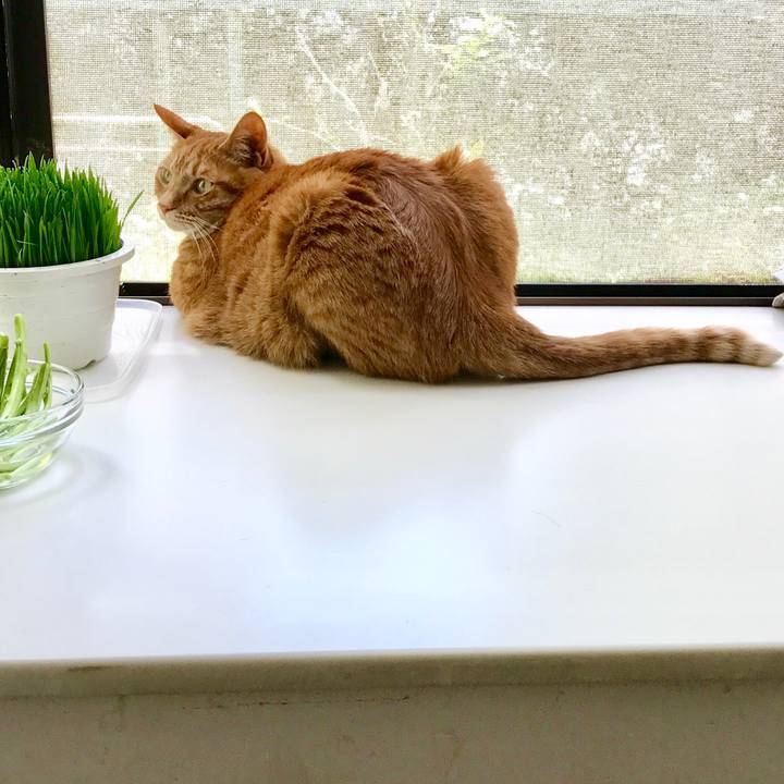 37e9ddee 6f32 4a8a 8bf5 183075a7c08d