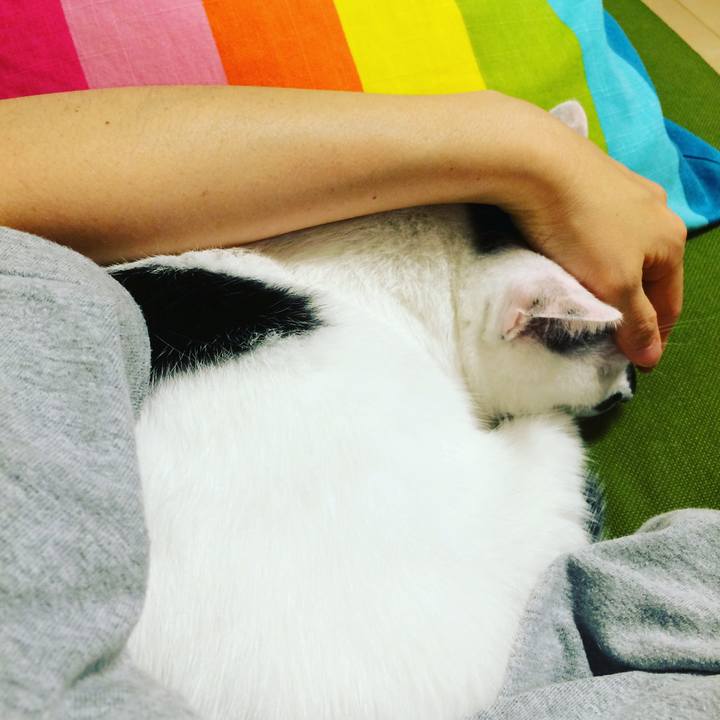 37eb2781 354c 4760 87ca 3e39202c5816