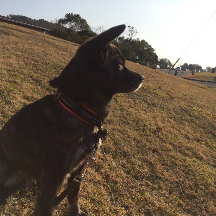 37ec3501 ca1b 46d9 9805 770bed1054e7