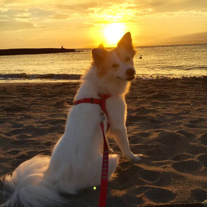 37ecaa02 5176 471b 88bd 2aa829e6921b