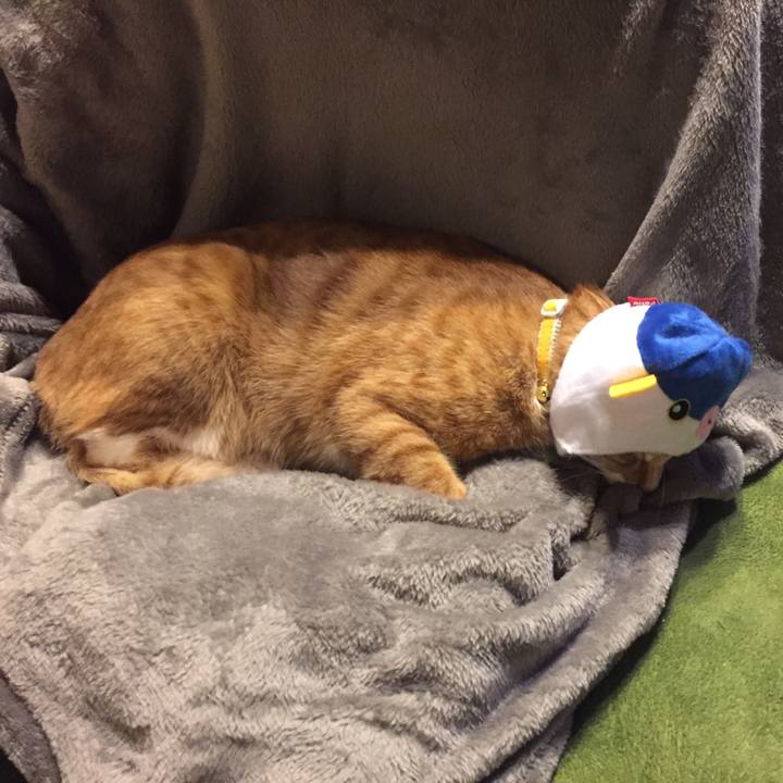 37ed6ade 456c 422e 88f7 0c9969274567