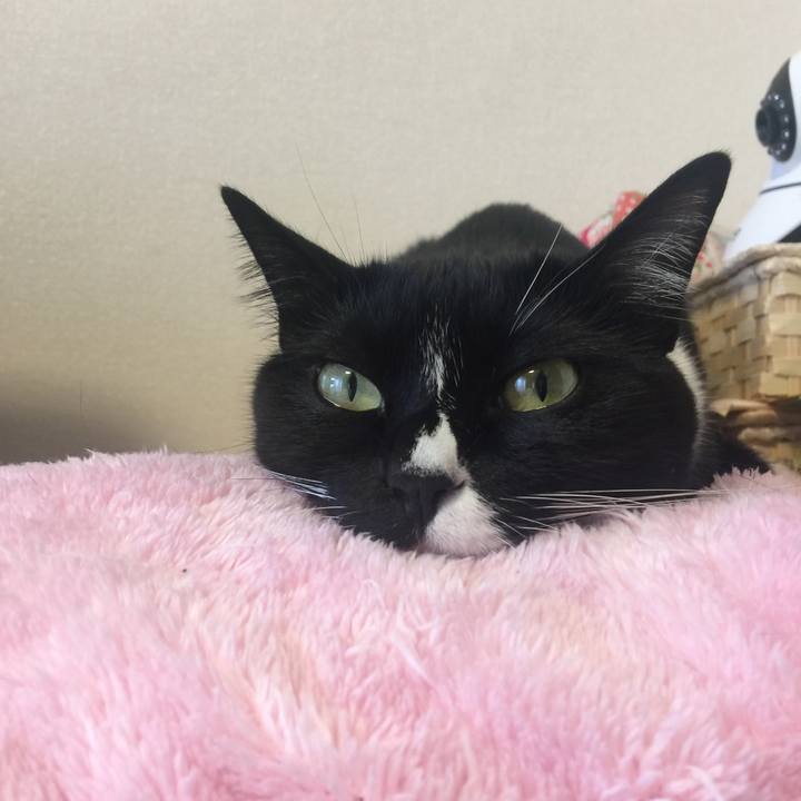 37ed8db3 3612 4289 bd3f 45e7f7bf0f8b