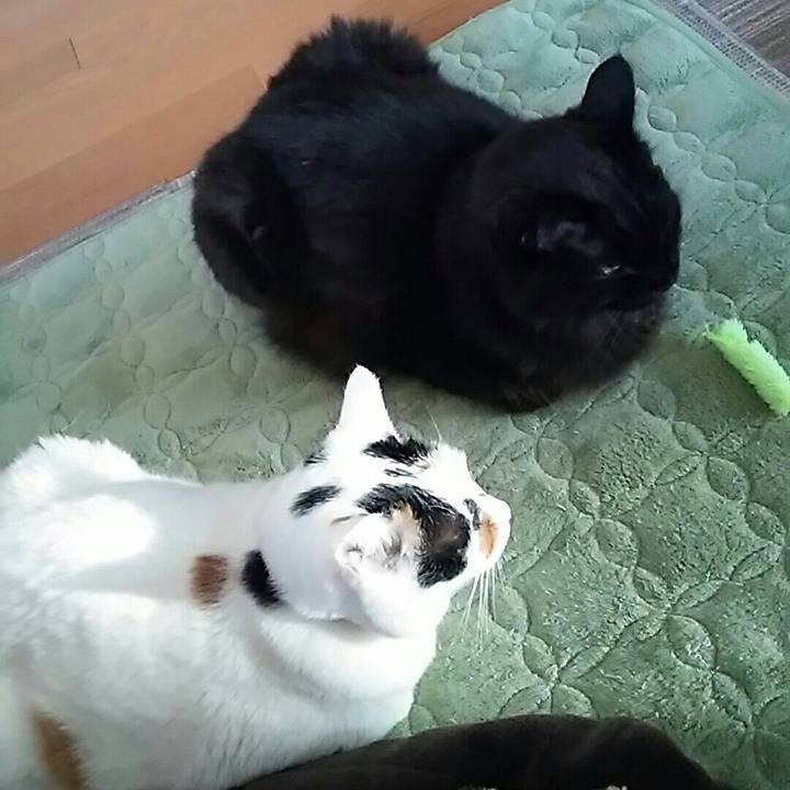 37eda070 f147 42a4 947e a347f96f08de