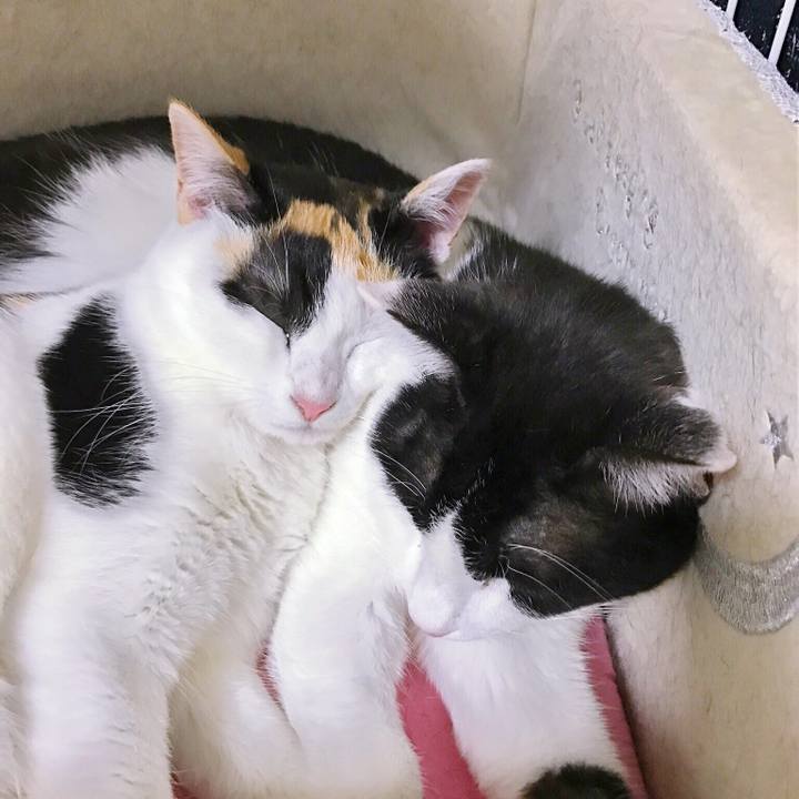 37ee3565 e1f4 4bd2 a175 20cc463fd255