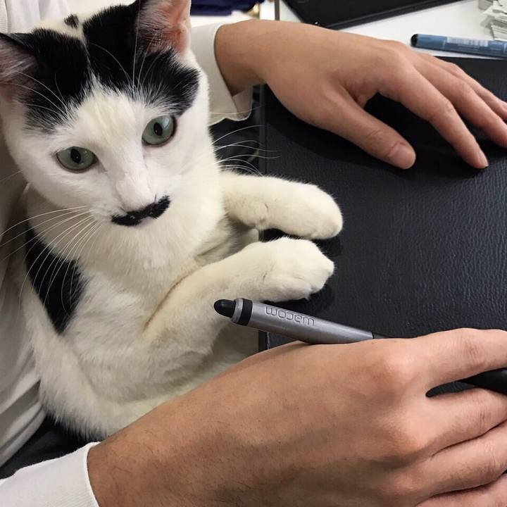 37ee7781 e3d2 4f1b 8c6e 548a8df738fa