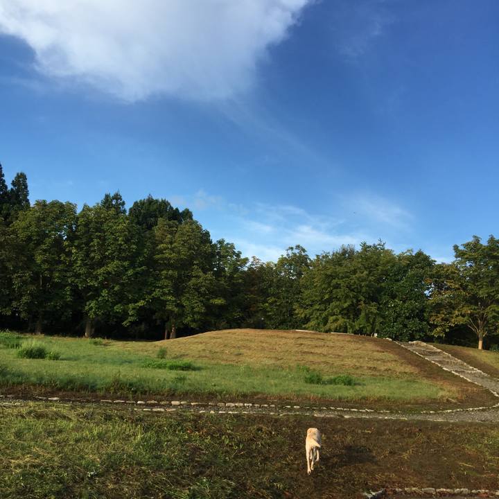 37f040e9 ad46 4d91 9253 f16eed9f27be