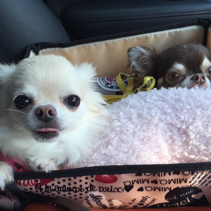 37f0b493 57f2 4b65 87be cc715942be49