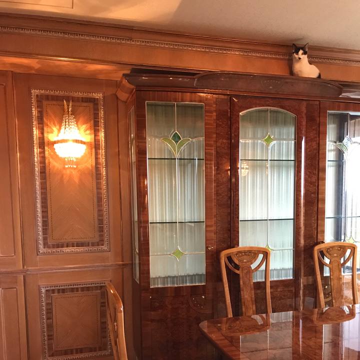 37f10bd9 0403 4a45 b3dc 041e9782cef9