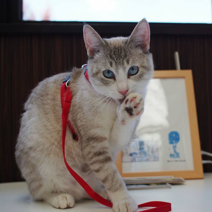 37f169ca 85e9 4293 801f 56e8c3fbfbbe