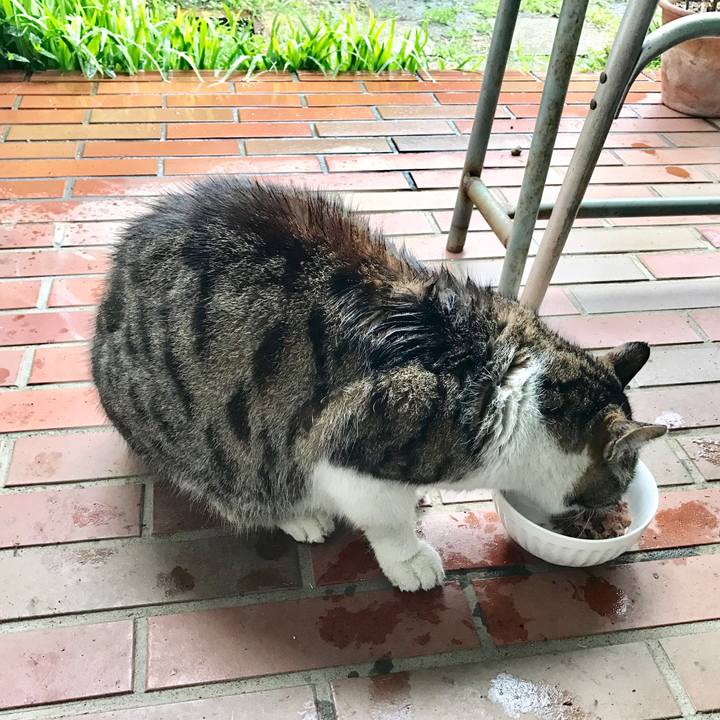 37f1a728 f158 4054 aa69 47bf70d92b35