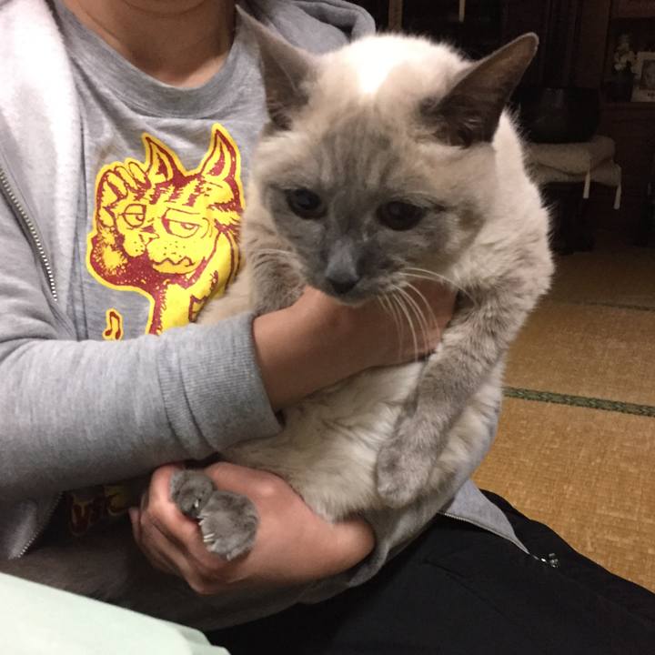 37f21ca4 838e 460b 960b a9eac62cbd72