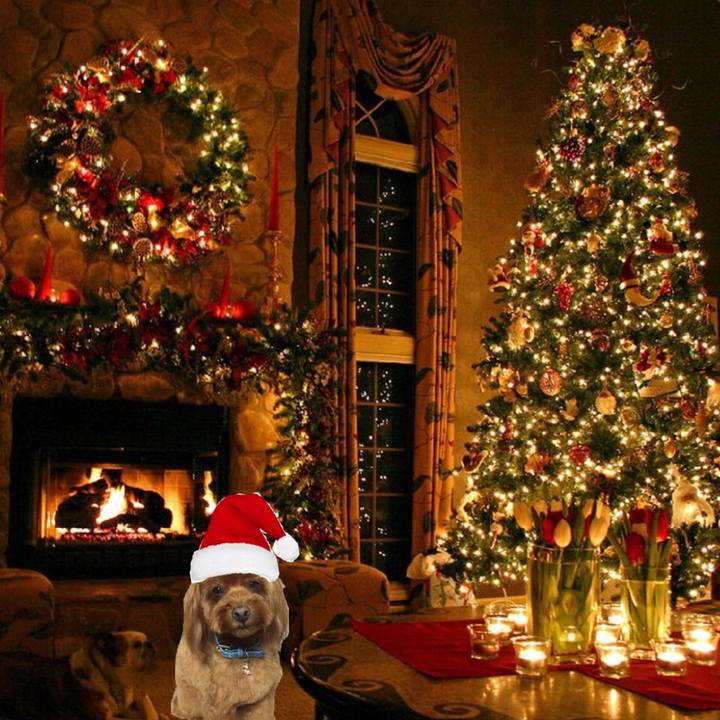 37f22bb6 6156 46d7 a532 ce56f7ae0911