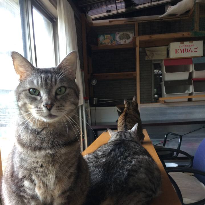 37f24755 5608 4453 be84 d0d653084643