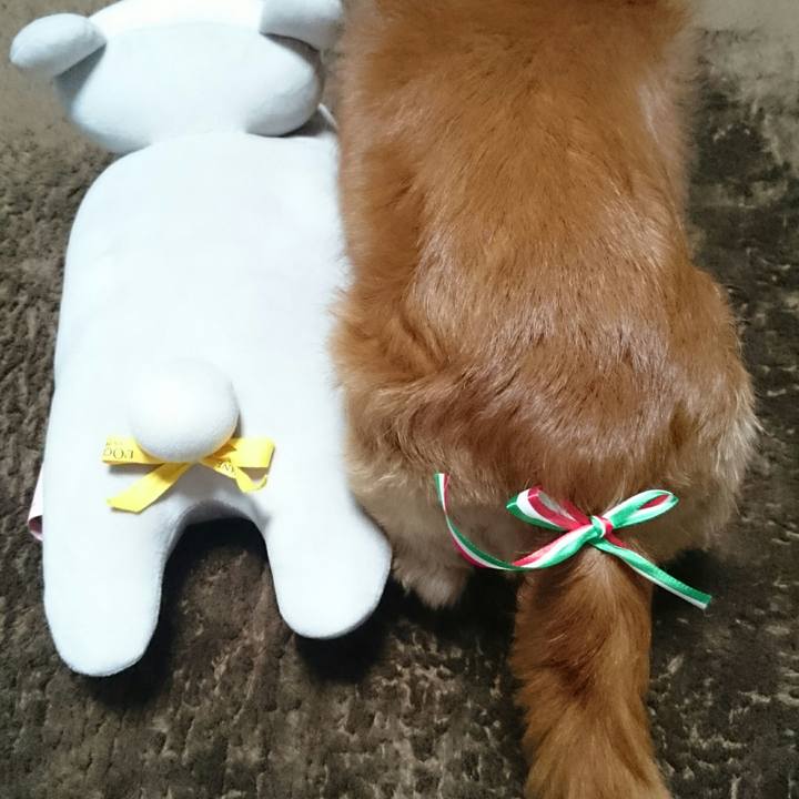 37f24add cfd9 442c 9040 f62d487ead9a