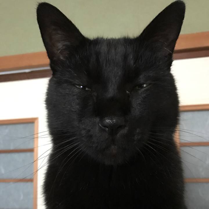 37f28ec4 634a 46c6 a763 6c10650f8a5b