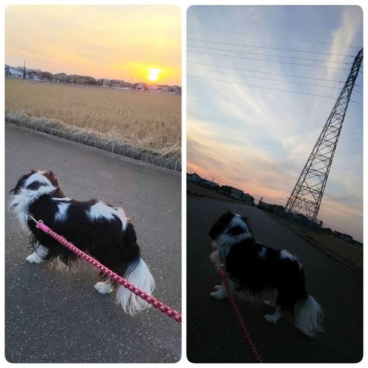 37f36a1d 8707 4410 9a82 0acf6f8aefd1