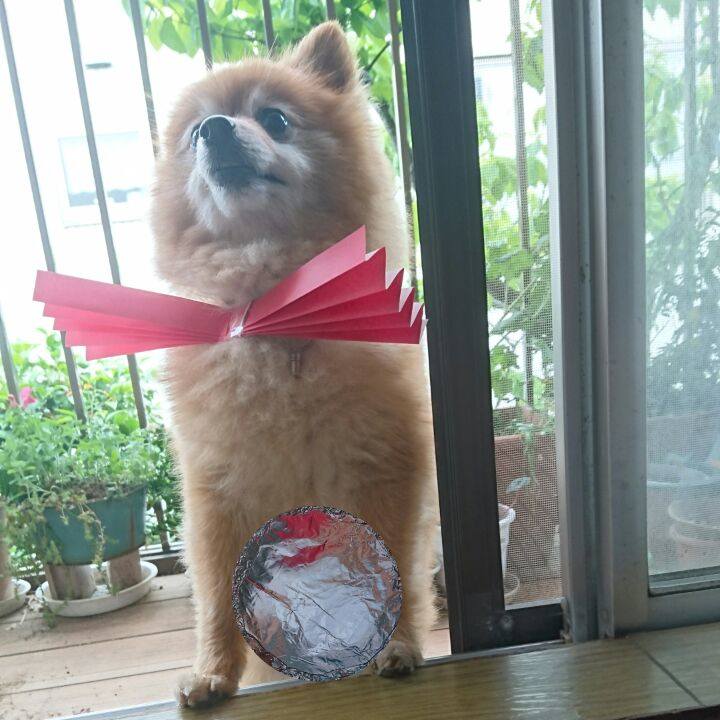 37f373c8 7e33 4e21 bacf a977571f9d51