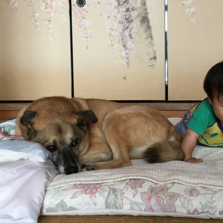 37f394b7 80c4 4b38 869a 74a6aa9fd1b7