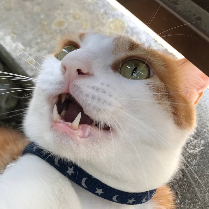 37f43ec0 19e7 491e b740 3d6a14209a8b