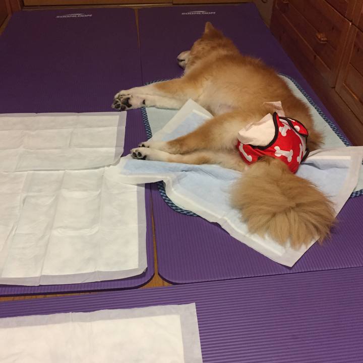 37f45680 36ed 4cf3 913a 6395a113bf07