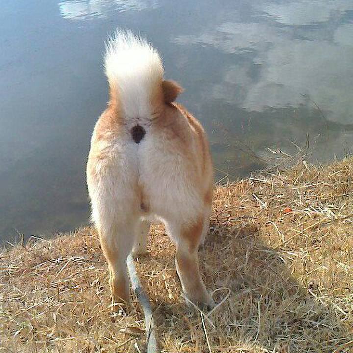 37f52fb6 0cb3 4822 ab76 8bba76da5589