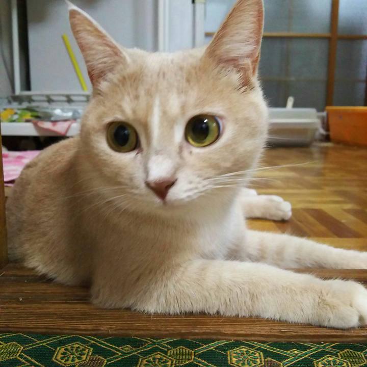 37f57663 9ba5 4d06 b0ff 4f5dc5079296