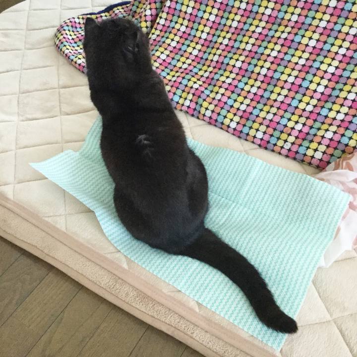 37f62dc1 fb7f 4f30 8486 1314a7d84cfd