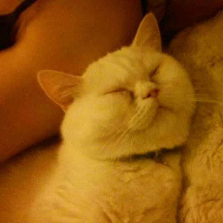 37f64718 6830 4f33 8dc3 a5ef2984750c