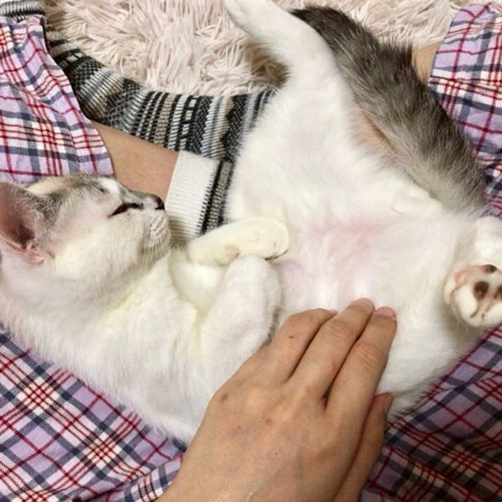 37f6b79e 3db5 4b08 b616 2f682d54310f