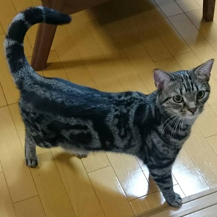 37f706e8 f983 4fd2 a200 2727b5120b0b