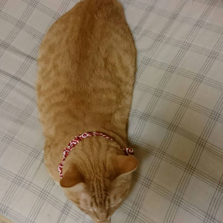 37f711fa 2076 4517 93ed 4517557df84a