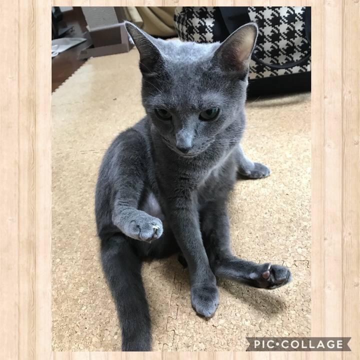 37f757a0 a2d3 43ae 98b0 a1e73b9c08a6