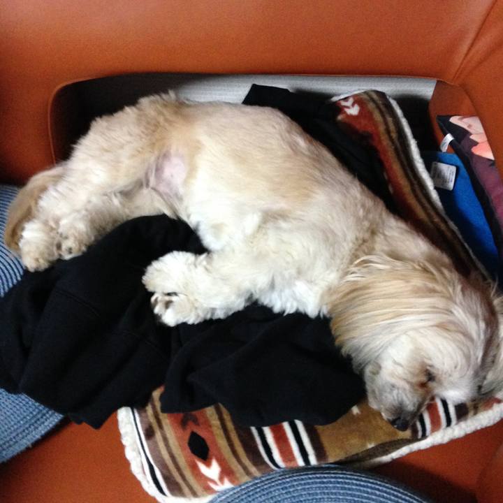 37f858e0 cdfa 4925 8dd5 4b57b92e2afb