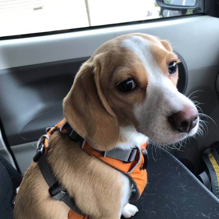 37f86ff9 8011 4546 b76a 44818a26a3f3