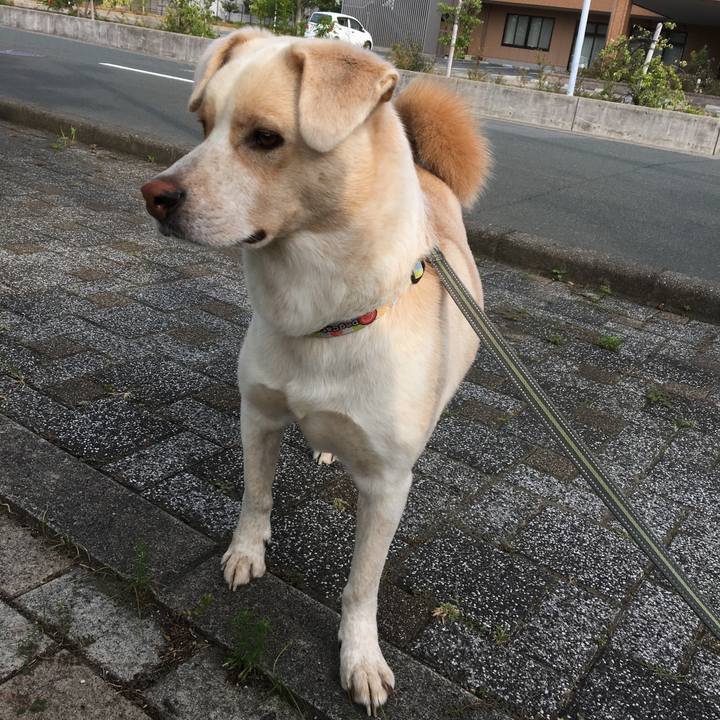 37f87676 07dd 4ba4 9bd4 1f8b641ec6e9