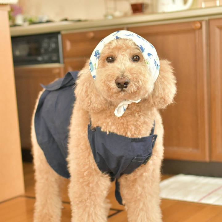 37f8ba0c 70da 4e7c 8fbb 42feb121383e