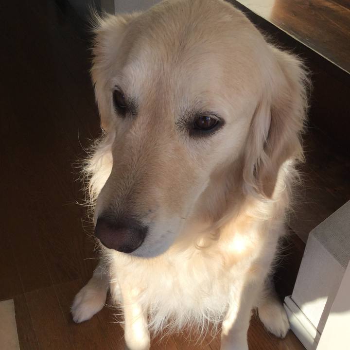 37f8f553 0615 4741 b4dc acd4e3cd898b