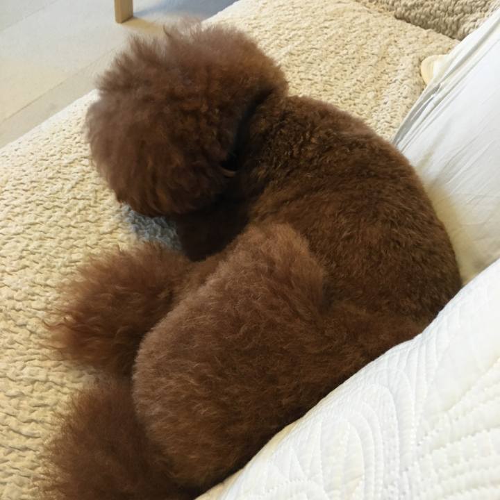 37f95850 08df 4bdf 803a 34094f96e98e