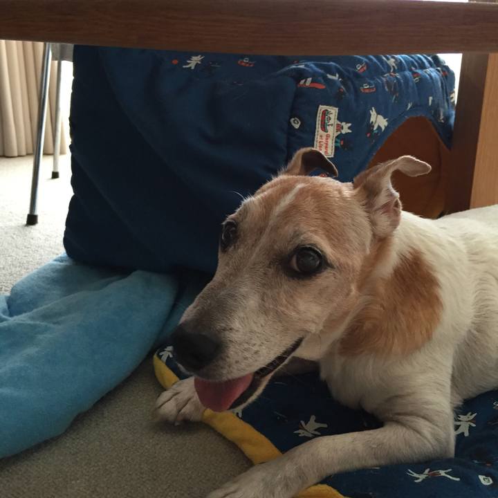 37fa24c8 4a74 4594 aedf 7e6518987716