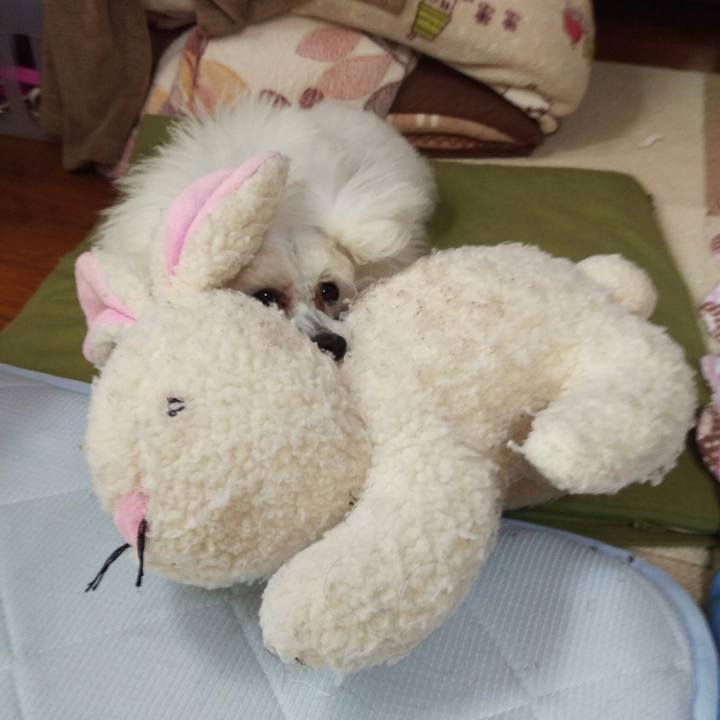 37fa4f3f 4d84 4802 8417 499a99b52b5f