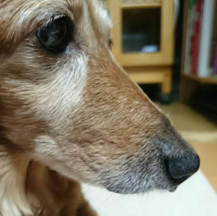 37facdc2 9f22 43d6 8b7f 87c42737e285